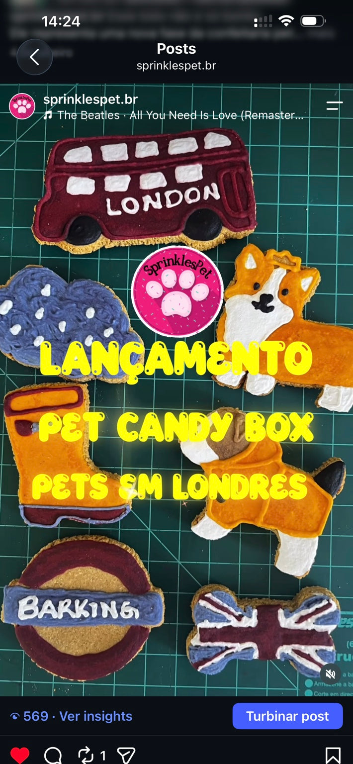 Pet Candy Box SprinklesPet